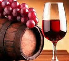 We organize a winery: winemaking according to GOST on an industrial scale