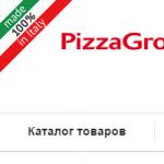 Бизнес план доставка пиццы Доставка пиццы пример с расчетами
